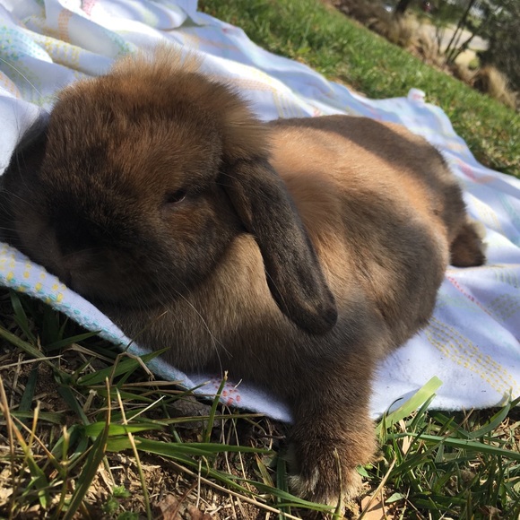 Meet your Posher, Caitie - Picture 2 of 3